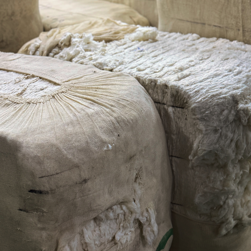 Combed vs. Carded Organic Cotton: What’s the Difference?